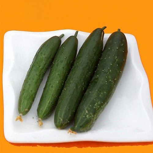 Guangliang No.74 Fruit Cucumber Seeds, Hybrid Cucumber Seeds, Early Maturing, High Yield