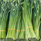 All-Season Garlic Chive Seeds, Garlic Chive Stalk Seeds, Vigorous Habit, Strong Lodging Resistance, Home Garden