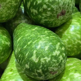 Qiangchun Duosheng Variegated Bottle Gourd Seeds, Variegated Bottle Gourd Seeds, Premium Bottle Gourd, Tender Flesh