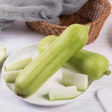 Baiguan No.1 Luffa Seeds, Premium White Luffa, Thick Flesh, Low Fiber, High Yield, Early Maturing