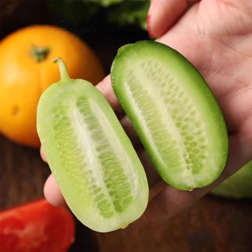 Jintong & Yunü Mini Cucumber Seeds, Dual-Color Mini Cucumber Seeds, Ultra-Small, Early-Maturing, High Yield