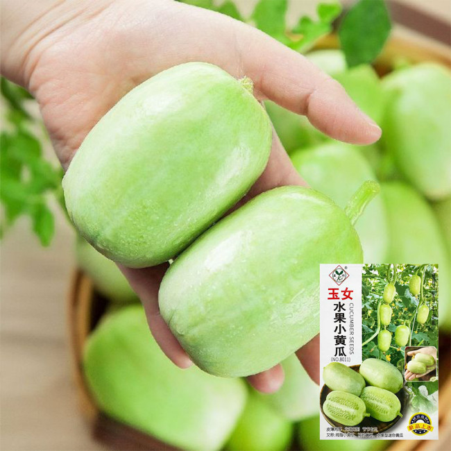 Yunü Mini Fruit Cucumber Seeds, White Mini Cucumber, Ultra-Small White Fruit, Sweet & Spineless