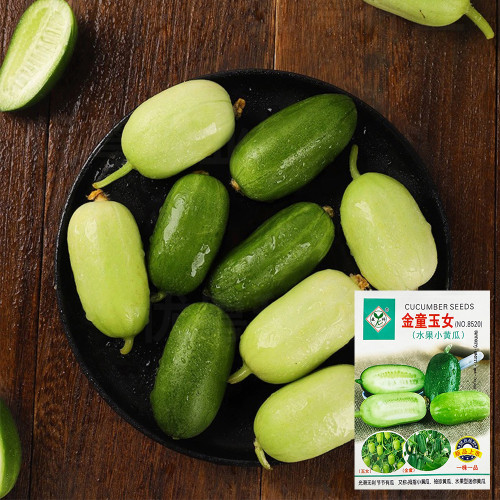 Jintong & Yunü Mini Cucumber Seeds, Dual-Color Mini Cucumber Seeds, Ultra-Small, Early-Maturing, High Yield