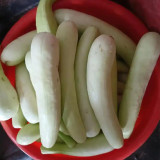 Yangchun White Melon Seeds, Premium White Melon Seeds, Disease-Resistant, High-Yield, Fast-Growing