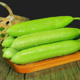 Cream No.3 Mini Cucumber Seeds, Mini Cucumber Seeds, Premium Cucumber, High-Yield Variety