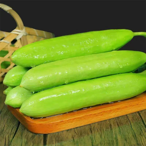 Cream No.3 Mini Cucumber Seeds, Mini Cucumber Seeds, Premium Cucumber, High-Yield Variety