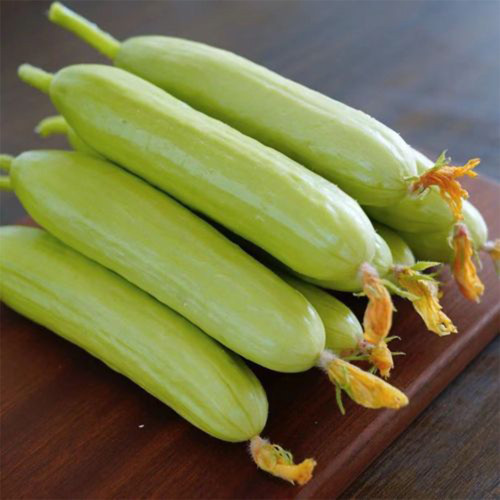 Cream No.3 Mini Cucumber Seeds, Mini Cucumber Seeds, Premium Cucumber, High-Yield Variety