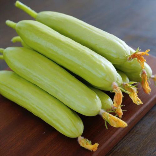 Cream No.3 Mini Cucumber Seeds, Mini Cucumber Seeds, Premium Cucumber, High-Yield Variety