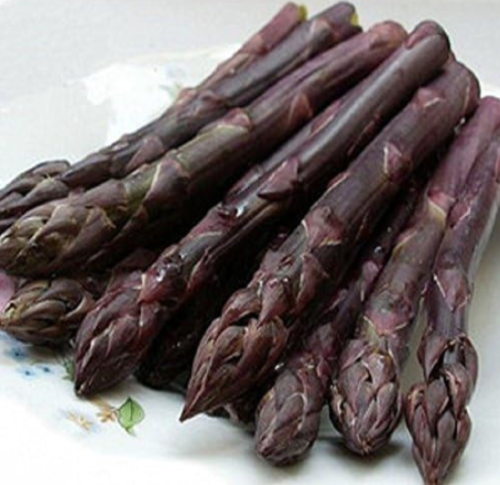 Purple Passion - US import purple asparagus Seeds