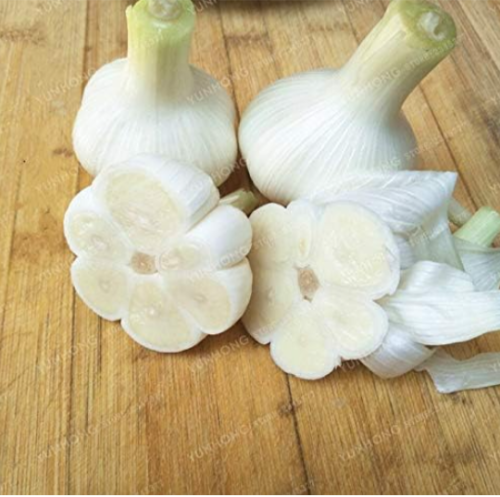 Garlic Seed Rare Healthy Vegetable Seed Organic Green Plant