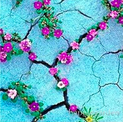 Creeping Thyme Seed or Blue Rock CRESS Perennial Ground Cover (Color: 5)