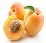 Apricot Seed Base More Precocious Fruit Orchard