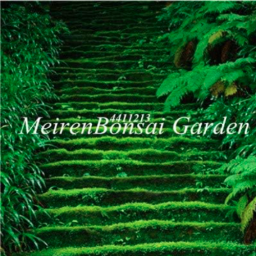 Moss Seed, Sagina Subulata DIY Home Garden - (Color: 5)