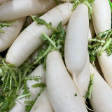 Hakudaikon Radish Seeds - F1 Hybrid, Bolt-Resistant, High-Yield, Crack-Resistant,Cold-Tolerant, Non-Hollow