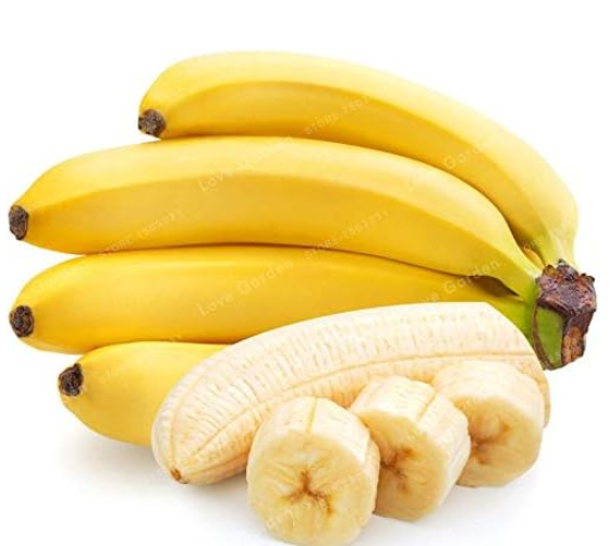 Banana Plant Milk Taste Outdoor Perennial Fruit Seeds