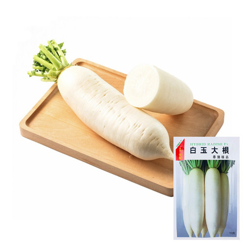 Hakudaikon Radish Seeds - F1 Hybrid, Bolt-Resistant, High-Yield, Crack-Resistant,Cold-Tolerant, Non-Hollow