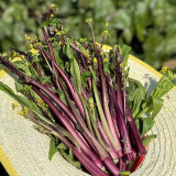 Xiaoye Hongcaitai Seeds, Purple Stem Cabbage, Cold Hardy, High Yield, Xiaoye Variety, Fast Growing