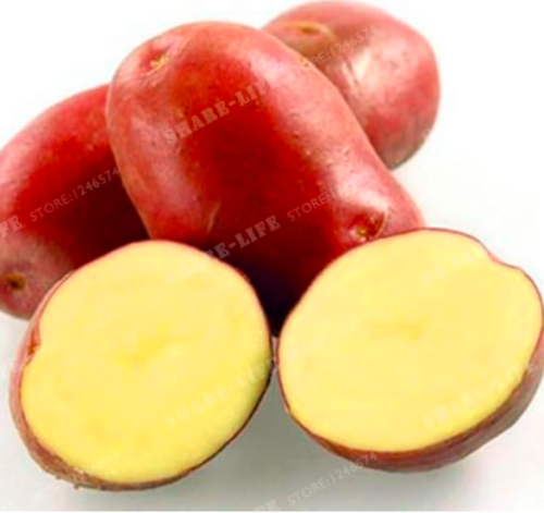 Giant & Purple Potato Seed Anti-Wrinkle Nutrition Green Vegetable (Color: 3)