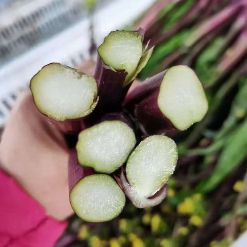 Xishuai Purple Stem Mustard Seeds, Red Stem Mustard Seeds, Premium Brassica Purpuraria, Medicinal Benefits, Nutrient-Rich