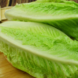 Little Gem Lettuce Seeds, Mini Romaine, Heat Tolerant, Semi-Head , Dark Green Crisp Leaves, Superior Quality