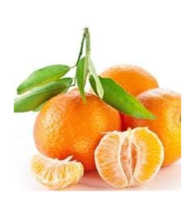 Edible Fruit Mandarin Seed Tree Citrus