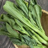 Choy Sum Seeds, Sweet Crisp Tender Leaves, Disease Resistant, Continuous Harvest, Greenhouse/Open Field
