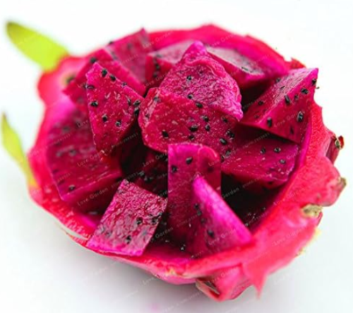 Red Flesh Dragon Fruit Seed Nutrition and Fruit Easy Grow