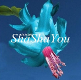 Schlumbergera Flores Christmas Cactus Plant Seeds (Color: Mixed)