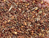 A Set Astragalus membranaceus Seeds