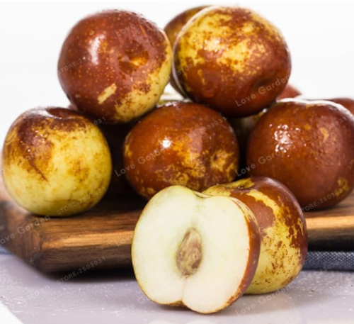 Organic Ziziphus Jujube Seed Very Sweet Healthy Red Jujube