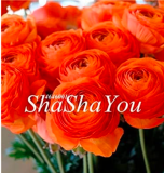 Rare Ranunculus Asiaticus Seed Garden Plants Home Garden (Color: 1)
