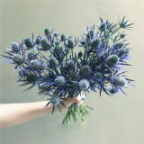 Alpine Eryngo Seeds, Blue-Gray Foliage, Unique Dome Flowers, Ornamental Flowers for Gardens
