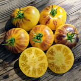  Rebel Starfighter Kayleigh Anne  Tomato Seeds - Exceptional Sweet Flavor, Striking Appearance, High-Yield Hybrid