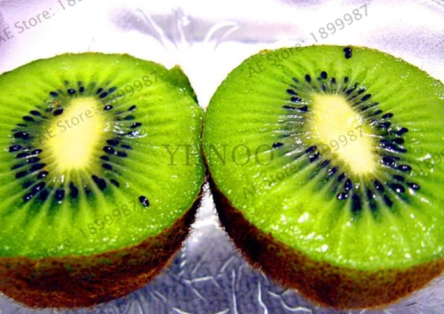 Kiwi Plant Seeds Tropical Fruit Outdoor Perennial