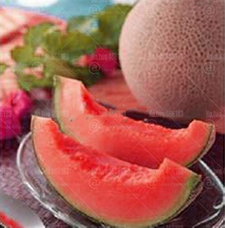 Cantaloupe Seed Rare Species red Cantaloupe Super Sweet Melon