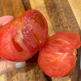 Tomato Seeds Russian Pink Oxheart - Heirloom Giant Heart-Shaped, Sweet High-Yield, Premium Market Variety