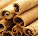 Giant Tree Cinnamon Seed Outdoor Very Easy Grow