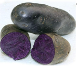 Potato Seeds NO GMO Purple Potatoes Fruit and Vegetable