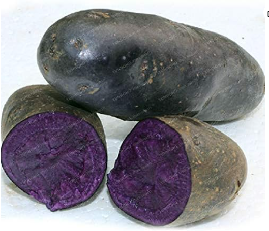 Potato Seeds NO GMO Purple Potatoes Fruit and Vegetable