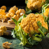 Golden Cauliflower Seeds - Vibrant Orange Heads, High Carotene, Nutty Flavor, Spring/Fall Planting