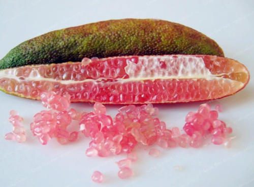 Finger Limes Citrus Pomegranate Seed Rare Tropical Fruit (Color: 5)