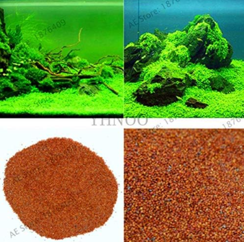 Acuario Planta de hierba acuática Glossostigma Hemianthus Callitrichoides Bonsai Fish Tank Decoración Paisaje ORN - (Color: Mix)