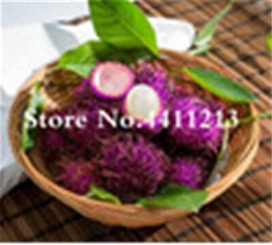Mixed Rambutan Fruit Malaysia Miracle Non-GMO Fruit Seed (Color: 14)