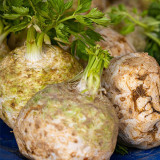 Celeriac 'Giant Prague' Seeds - Cold-Hardy Biennial, Nutritious Root Vegetable, Edible Taproot & Leaves