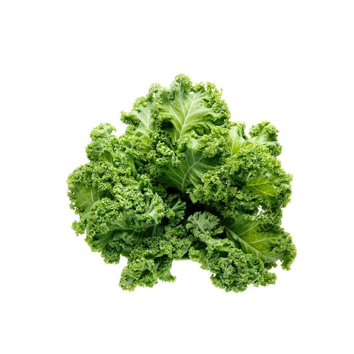 Curly Kale Seeds - Fast-Growing Nutrient-Dense Pinnate Leaves for Cool Climate Gardens