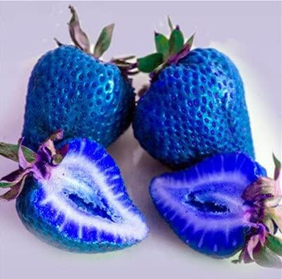 Giant Japan Strawberry Seeds (Color: 3)