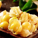 Ground Cherry Seeds - Physalis Pruinosa, Sweet Golden Berry, High Yield, Easy Grow