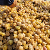 Ground Cherry Seeds - Physalis Pruinosa, Sweet Golden Berry, High Yield, Easy Grow
