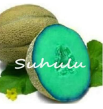 Super Sweet Honey-Dew Melon Seed (Color: 3)
