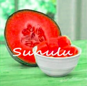 Japanese Honey Melon Seeds Superior Honey Dew Green Flesh Fruit (Color: 8)